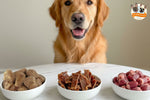 Golden Retriever sitting behind three bowls of dog treats showing freeze-dried duck hearts, dehydrated duck hearts, and raw duck hearts side by side.