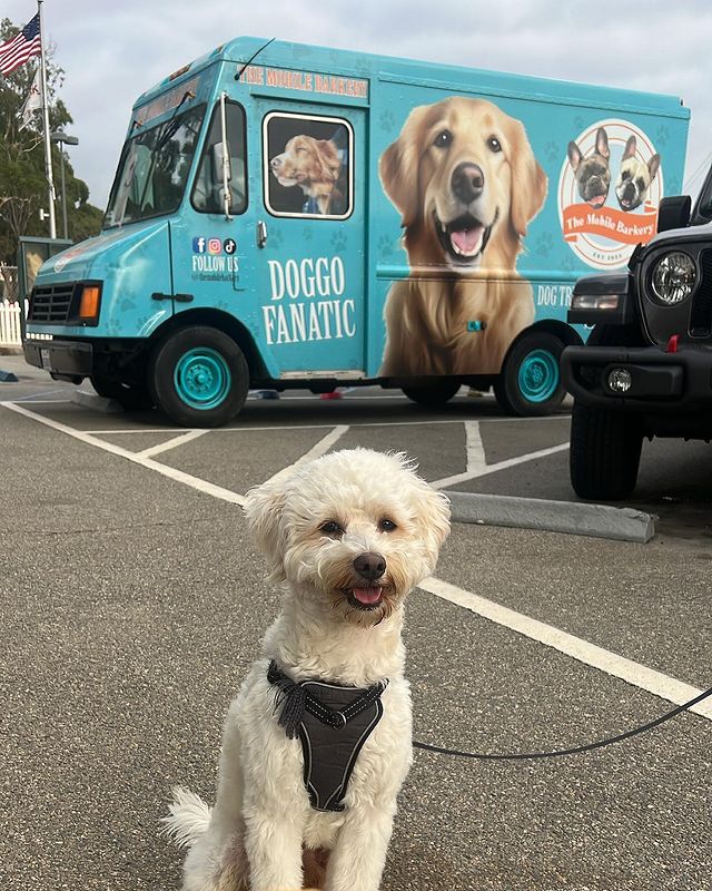 <h2>A Tail-Waggin' Good Time!</h2>
