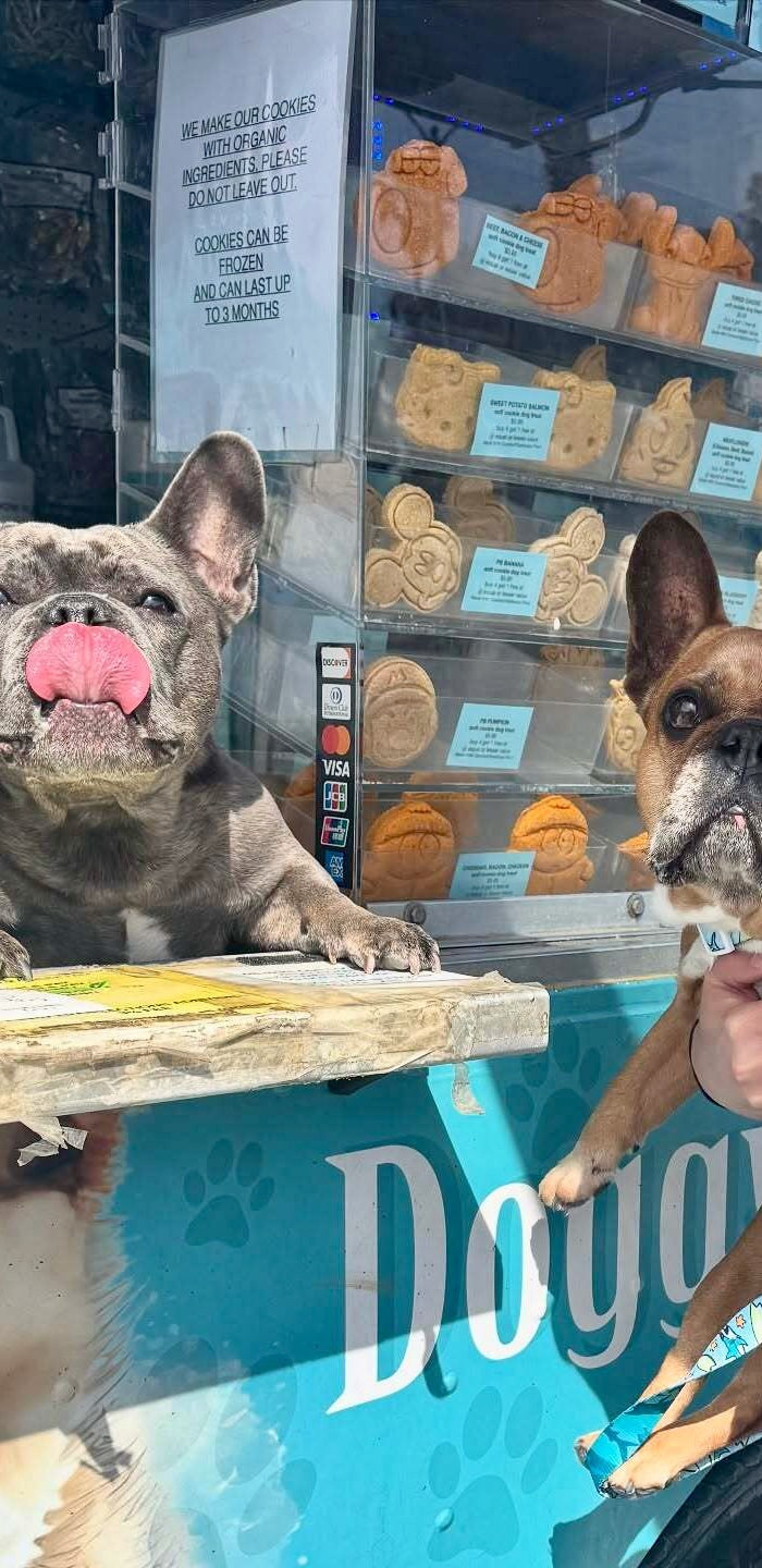 <h2>THE MOBILE  BARKERY</h2>