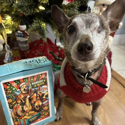 The Barkery Box
