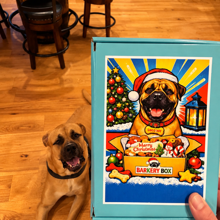 The Barkery Box
