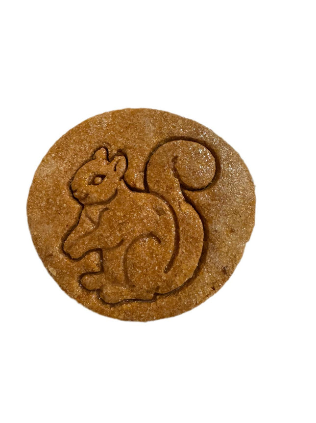 Peanut Butter Pumpkin (5 Pack)