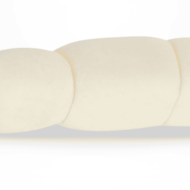 Close-up of a natural beef cheek roll dog chew showing its smooth, segmented texture