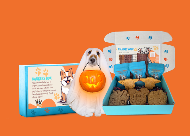 <h1>The Barkery Box</h1>