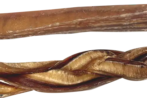 Close-up of braided and straight natural bully sticks for dogs on neutral background
