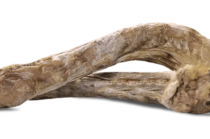 Freeze-dried duck necks stacked on a white surface