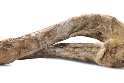 Freeze-dried duck necks stacked on a white surface