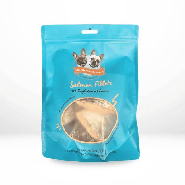 Large resealable pack of freeze-dried salmon dog treats with a window showing the fillet pieces inside.