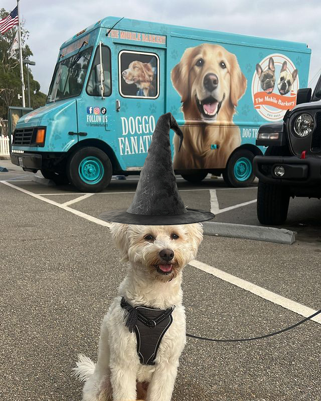 <h2>A Tail-Waggin' Good Time!</h2>