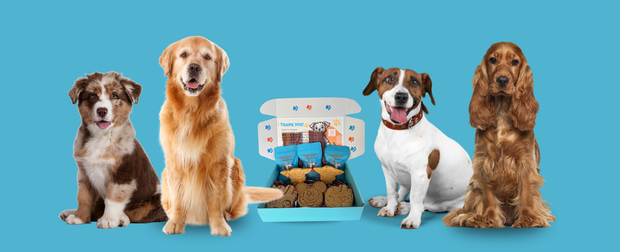 Banner image for: <h2>The Barkery Box</h2>