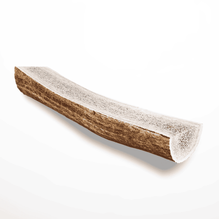 Cleanly cut elk antler chew for dogs with visible mineral-rich interior