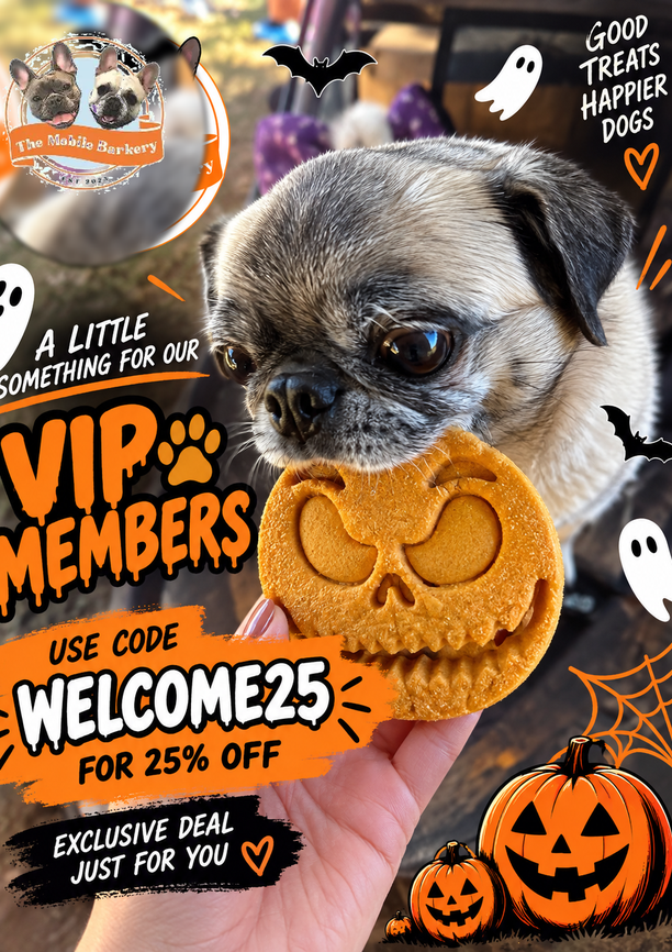 WELCOME25 newsletter aside 612x866