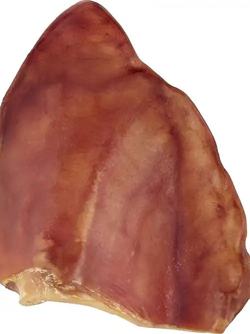Single dried pig ear dog chew with a reddish-brown finish