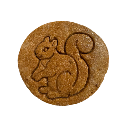 Peanut Butter Pumpkin (5 Pack)