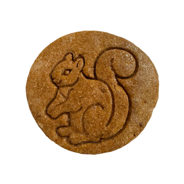 Peanut Butter Pumpkin (5 Pack)