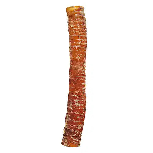 Dried beef trachea dog chew with ridged texture and natural color