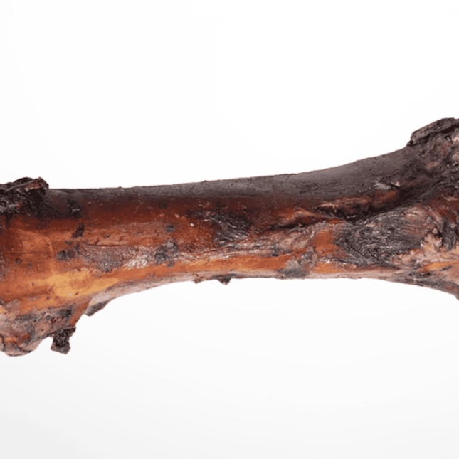 Slow-cooked beef marrow bone for dogs with dark roasted exterior